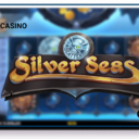 Silver Seas - Microgaming